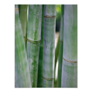 Foto Modelo personalizado do zen fundo de bambu natural