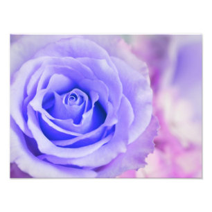 Foto Modelo personalizado fundo do rosa do roxo