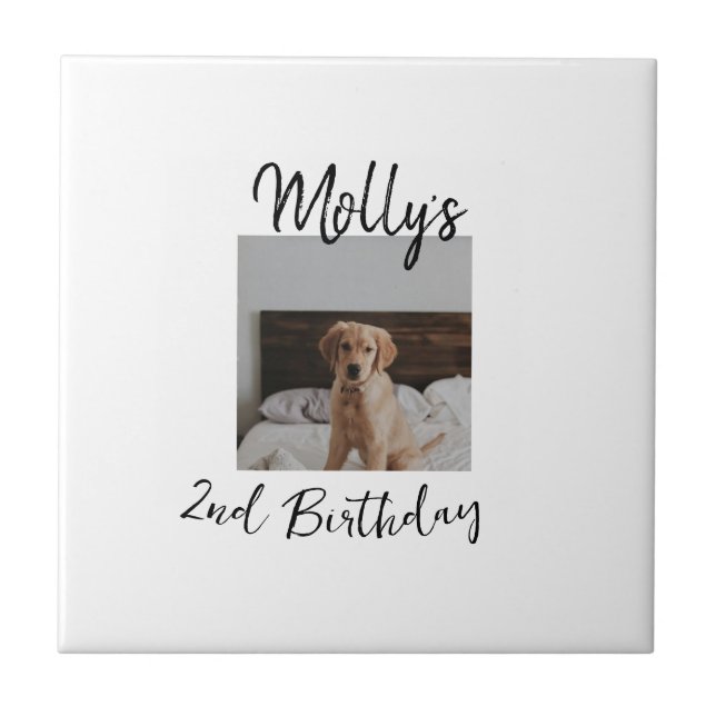 Foto moderna de aniversário de um gato de cão (Frente)