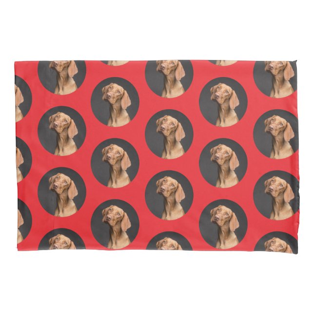 Foto Moderna de Cachorro (Frente)