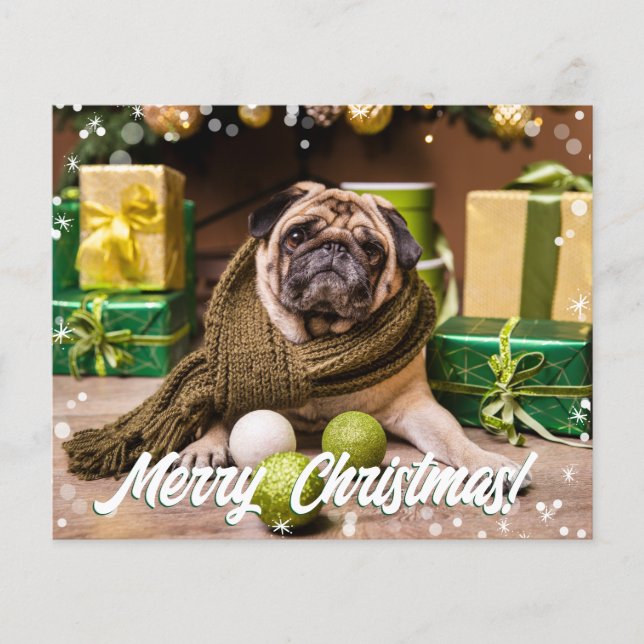 Foto Moderna do Orçamento (Frente)