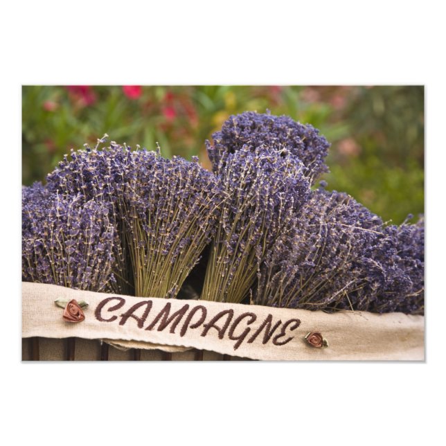 Foto Molhos de lavanda à venda, Vence, Provence, (Frente)