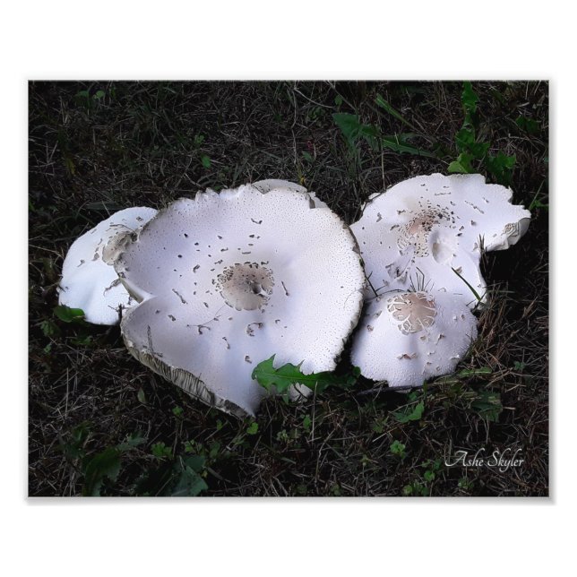 Foto Molhos Maçados (Frente)