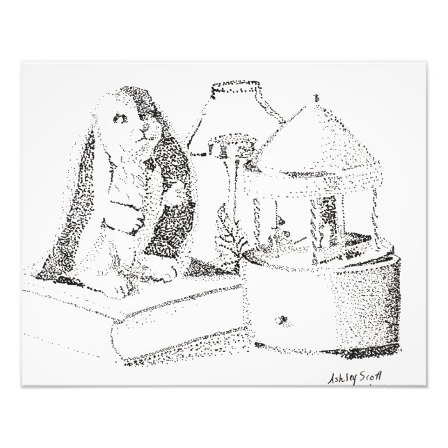 Foto Momentos de Coelho (Frente)