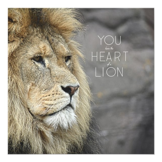 Foto Monarca Beastly nº 1 (24x24) (Frente)