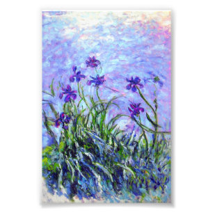 Foto Monet Lilac Irises