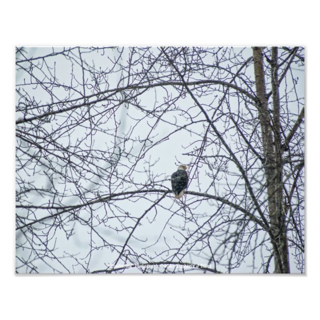 Foto Monitoramento (Frente)