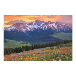 Foto Montanhas e Flores Silvestres Impressão Colorado