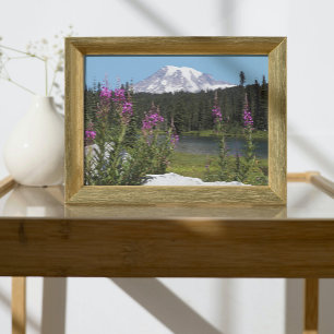 Foto Monte Rainier e Flores Selvagens Paisagem Cênica