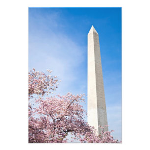 Foto Monumento a Washington