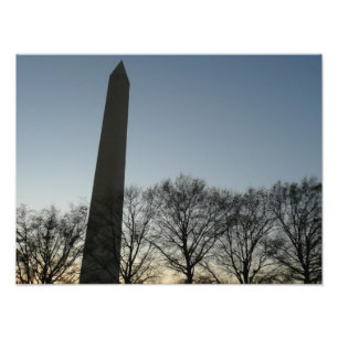 Foto Monumento a Washington no inverno II
