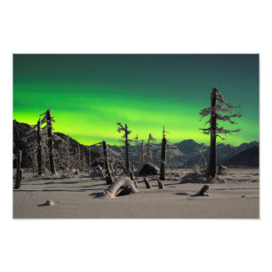 Foto Moonlight Aurora
