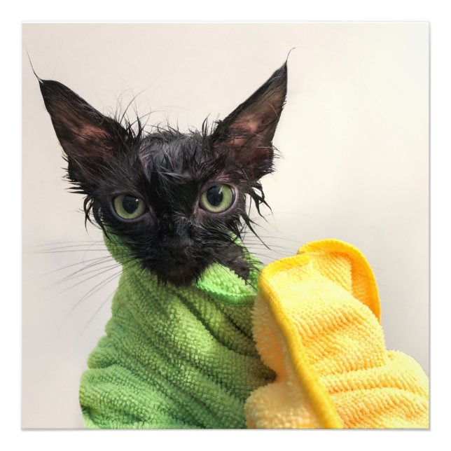 Foto Moop, banho poste (Frente)