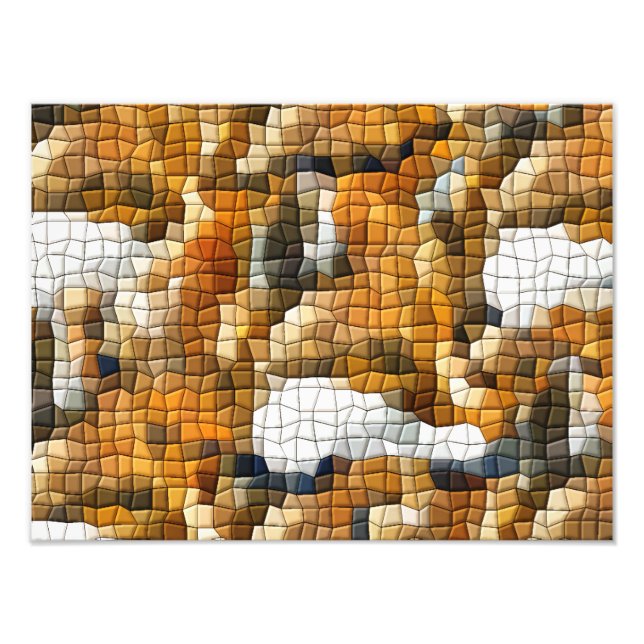 FOTO MOSAIC FOX (Frente)