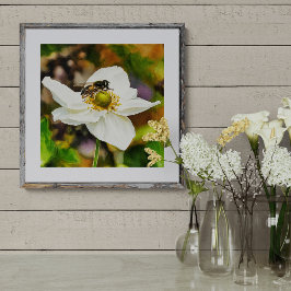 Foto Mosca-flor sobre Flor de Anêmona Branca - Poliniza