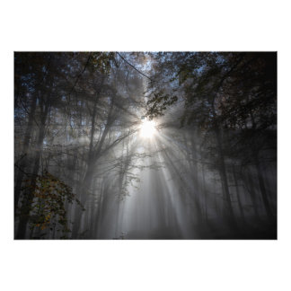 Foto Motivo do silêncio