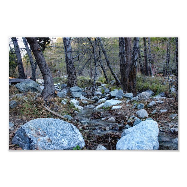 Foto Mount Baldy  (Frente)