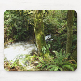 Foto Mousepad da natureza da região selvagem do