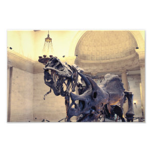 Foto Museu de História Natural de Los Angeles
