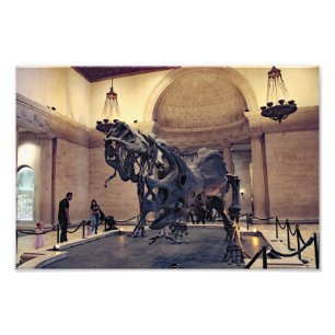 Foto Museu de História Natural de Los Angeles