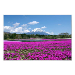 Foto Musgo e Monte Fuji cor-de-rosa no fundo