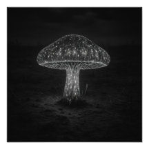 Mushroom Glow - Photo Print