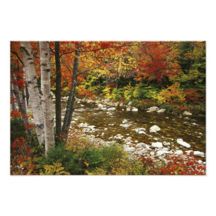 Foto N.A., EUA, New Hampshire, White Mountains,