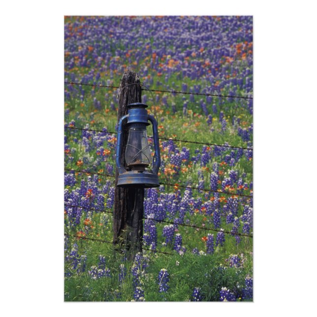 Foto N.A., EUA, Texas, Llano, Lanterna Azul e (Frente)