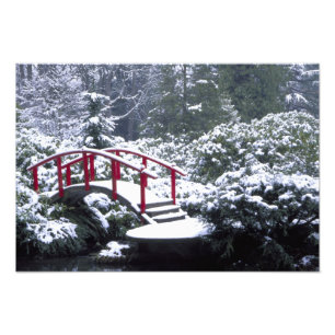 Foto N.A., EUA, Washington, Seattle. Ponte da lua em 2