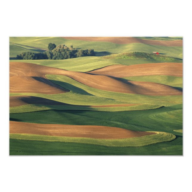 Foto N.A., EUA, Washington, Whitman County. (Frente)