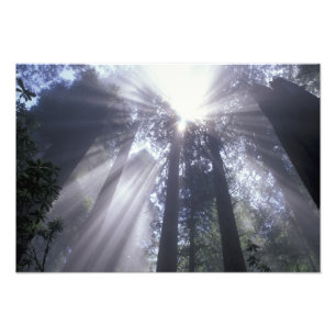 Foto NA, EUA, Califórnia. Del Norte Coast State 2