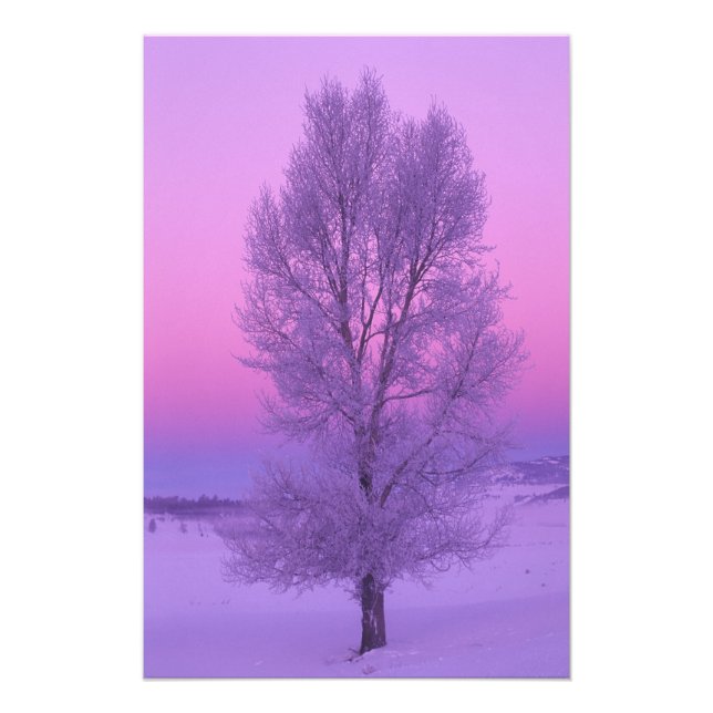 Foto NA, EUA, Wyoming, Yellowstone NP, Paisagem (Frente)