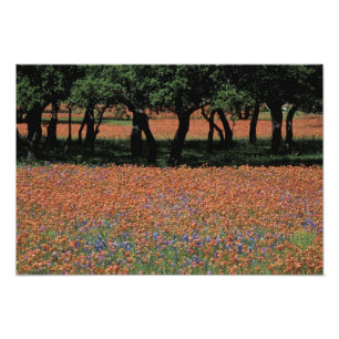 Foto NA, Texas, Texas Hill Country, Barragem Buchan,