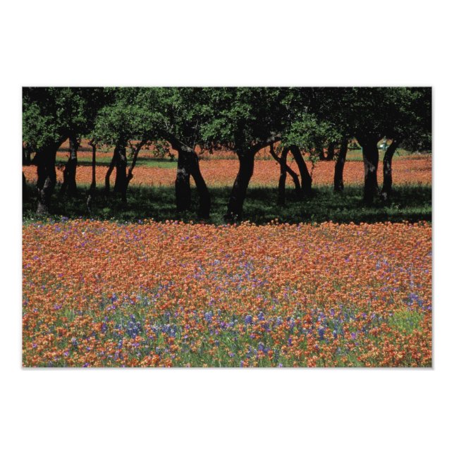 Foto NA, Texas, Texas Hill Country, Buchan Dam, (Frente)