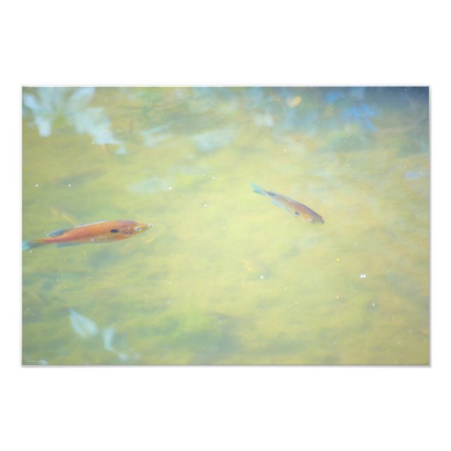 Foto Nadar no Sol (Frente)