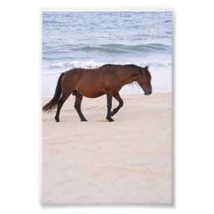 Foto Nag na praia, Outer Banks na Carolina do Norte
