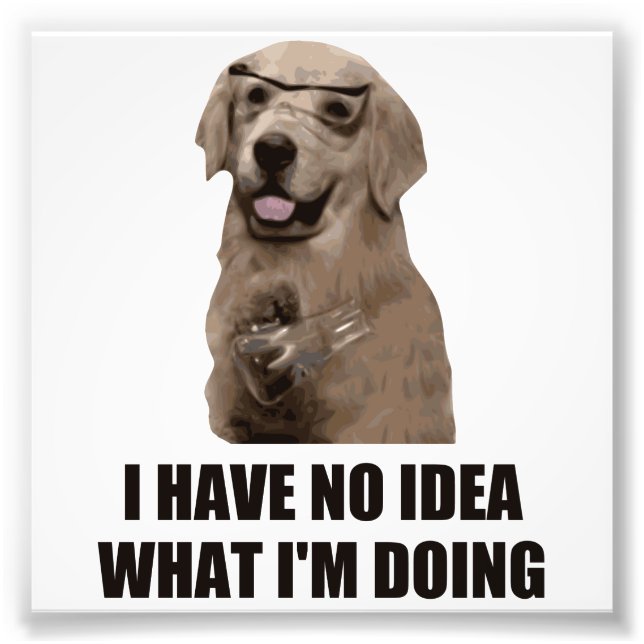 Foto Não faço ideia do que estou fazendo (Frente)