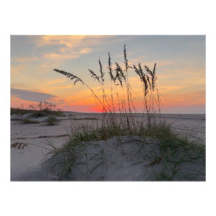 Foto Nascer do sol na praia - Vida na Ilha Costeira