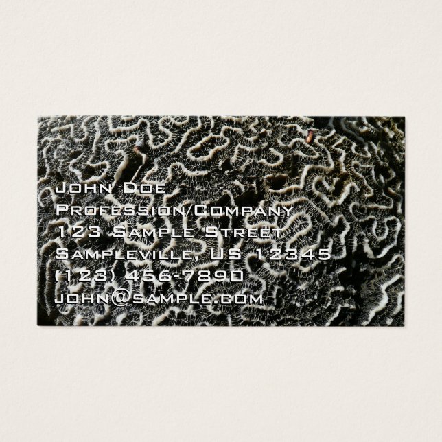 Foto natural do Abstrato do Coral Negro e Branco I (Frente)