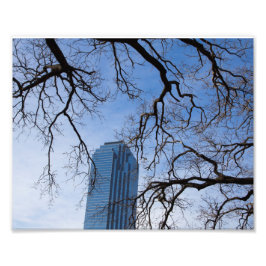 Foto Natural e Artificial em Dallas, Texas