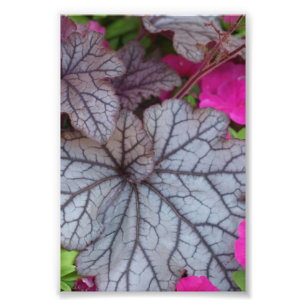 Foto Nature Art