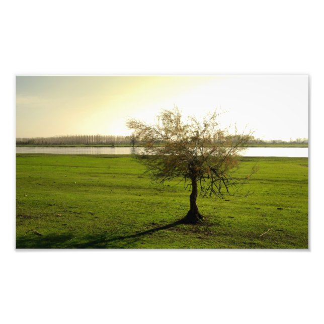 Foto natureza (Frente)