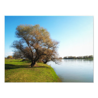 Foto natureza
