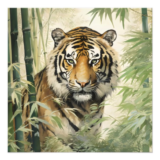 Foto Natureza Animal Tigre Bamboo (Frente)