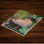 Foto Natureza do Fungo da Colchete<br><div class="desc">Para os fãs da natureza e dos cogumelos! Azulejo cerâmico com a foto de um Fungo Colchete, também conhecido como Shelf Fungus, crescendo em um tronco coberto de musgo. Selecione o tamanho do seu azulejo. Faz uma trivet de cozinha excelente!</div>