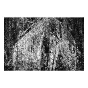 Foto natureza-morta em casa