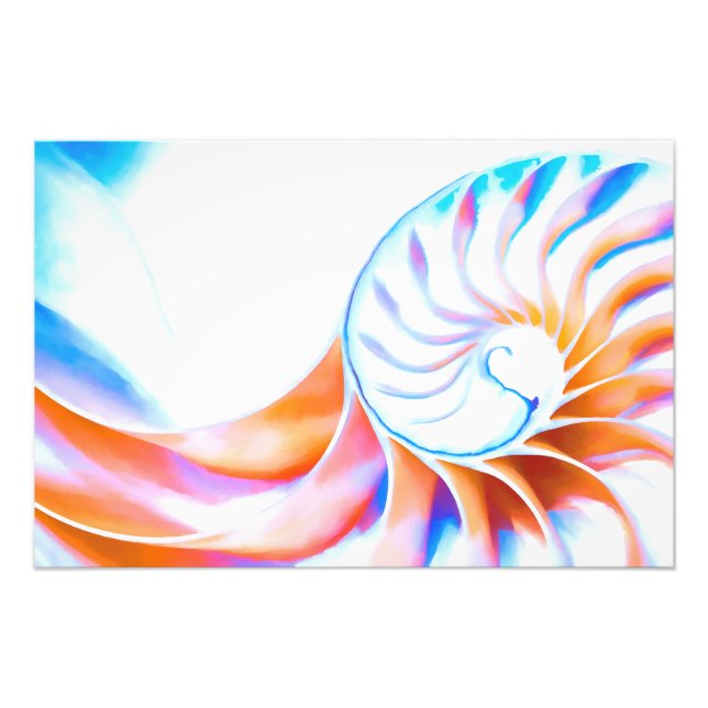 Foto Nautilus Colorido (Frente)