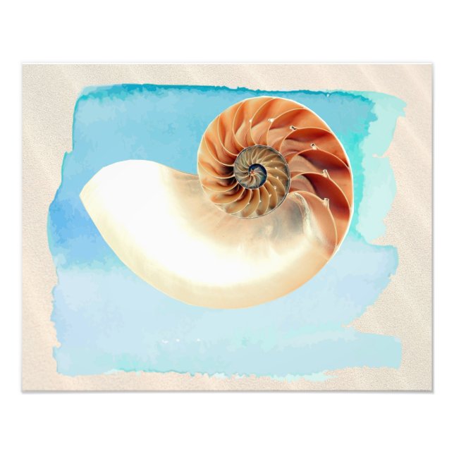 Foto Nautilus Seashell e Sand (Frente)