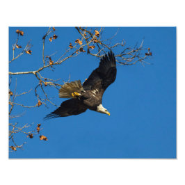 Foto Negócios sérios