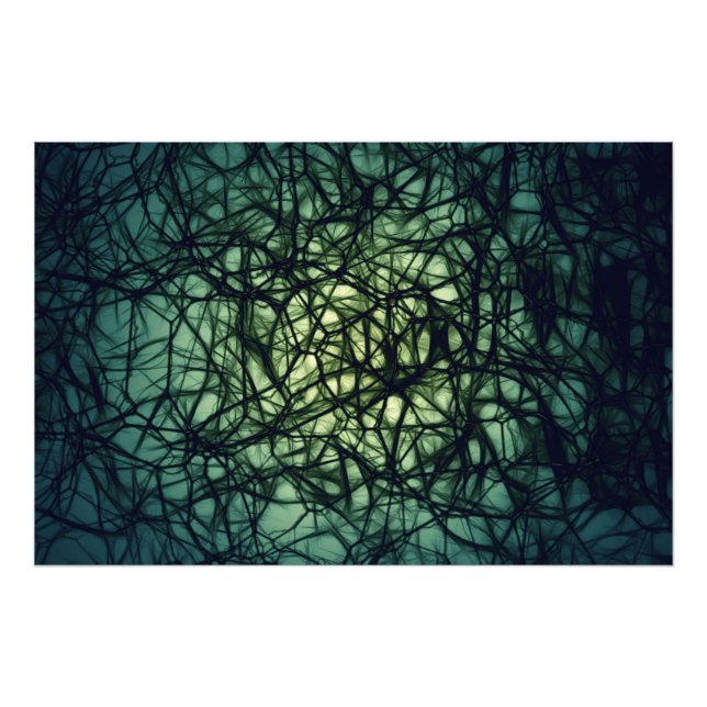 Foto Neurônios (Frente)